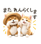 初夏♡ほんわか豆柴とネコ（個別スタンプ：31）