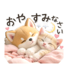 初夏♡ほんわか豆柴とネコ（個別スタンプ：32）
