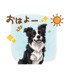 ゆるかわボーダー・コリーの日常（個別スタンプ：1）