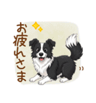 ゆるかわボーダー・コリーの日常（個別スタンプ：2）
