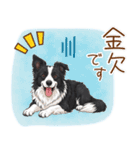 ゆるかわボーダー・コリーの日常（個別スタンプ：10）