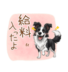 ゆるかわボーダー・コリーの日常（個別スタンプ：11）