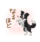 ゆるかわボーダー・コリーの日常（個別スタンプ：18）