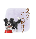 ゆるかわボーダー・コリーの日常（個別スタンプ：20）