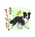 ゆるかわボーダー・コリーの日常（個別スタンプ：21）