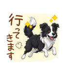 ゆるかわボーダー・コリーの日常（個別スタンプ：22）