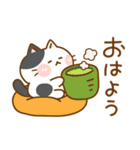猫のももたま（個別スタンプ：1）