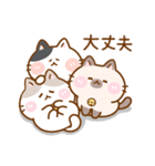 猫のももたま（個別スタンプ：20）