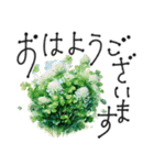 大人の挨拶♡梅雨～夏♡品よくおしゃれに（個別スタンプ：1）