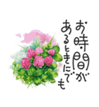 大人の挨拶♡梅雨～夏♡品よくおしゃれに（個別スタンプ：28）