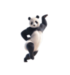 [アレンジ用]パンダぱんだPANDA（個別スタンプ：7）