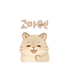 2種類のハムスター韓国語（個別スタンプ：17）
