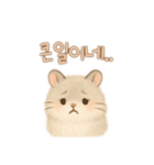 2種類のハムスター韓国語（個別スタンプ：23）
