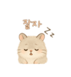 2種類のハムスター韓国語（個別スタンプ：24）