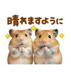 梅雨初夏♡ハムスター（個別スタンプ：2）