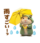 梅雨初夏♡ハムスター（個別スタンプ：5）