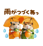 梅雨初夏♡ハムスター（個別スタンプ：6）