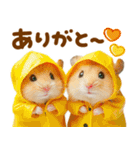 梅雨初夏♡ハムスター（個別スタンプ：19）