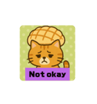 愉快な帽子にゃんこ 英語（個別スタンプ：15）
