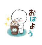 ず～っと使える★ほのぼのビションフリーゼ（個別スタンプ：1）