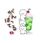 ず～っと使える★ほのぼのビションフリーゼ（個別スタンプ：9）