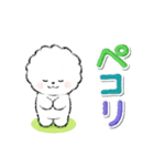 ず～っと使える★ほのぼのビションフリーゼ（個別スタンプ：12）