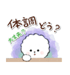 ず～っと使える★ほのぼのビションフリーゼ（個別スタンプ：25）