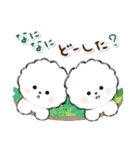 ず～っと使える★ほのぼのビションフリーゼ（個別スタンプ：29）