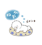 ず～っと使える★ほのぼのビションフリーゼ（個別スタンプ：38）