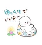 ず～っと使える★ほのぼのビションフリーゼ（個別スタンプ：39）