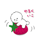 ず～っと使える★ほのぼのビションフリーゼ（個別スタンプ：40）