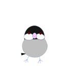 桜文鳥のさくちゃんの日常3（個別スタンプ：1）