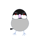 桜文鳥のさくちゃんの日常3（個別スタンプ：2）