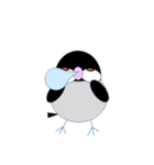 桜文鳥のさくちゃんの日常3（個別スタンプ：11）