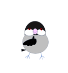 桜文鳥のさくちゃんの日常3（個別スタンプ：12）