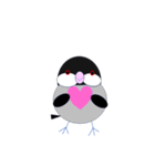 桜文鳥のさくちゃんの日常3（個別スタンプ：19）