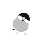 桜文鳥のさくちゃんの日常3（個別スタンプ：21）