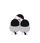桜文鳥のさくちゃんの日常3（個別スタンプ：32）