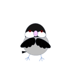 桜文鳥のさくちゃんの日常3（個別スタンプ：38）
