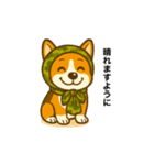 コーギーまいまい その8(修正版)（個別スタンプ：12）