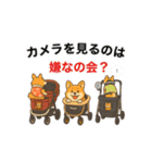 コーギーまいまい その8(修正版)（個別スタンプ：13）