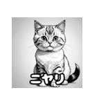 色鉛筆マンチカンのほっこりフレーズ（個別スタンプ：1）