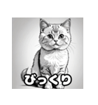 色鉛筆マンチカンのほっこりフレーズ（個別スタンプ：2）