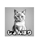 色鉛筆マンチカンのほっこりフレーズ（個別スタンプ：3）