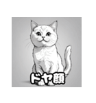 色鉛筆マンチカンのほっこりフレーズ（個別スタンプ：16）