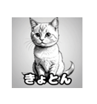 色鉛筆マンチカンのほっこりフレーズ（個別スタンプ：19）