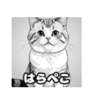 色鉛筆マンチカンのほっこりフレーズ（個別スタンプ：23）