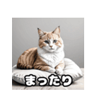 色鉛筆マンチカンのほっこりフレーズ（個別スタンプ：24）