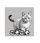 色鉛筆マンチカンのほっこりフレーズ（個別スタンプ：38）