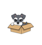 イラストミニチュアシュナのつぶやき（個別スタンプ：40）